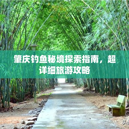 肇慶釣魚秘境探索指南，超詳細旅游攻略