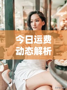 今日運費動態解析，最新趨勢一網打盡