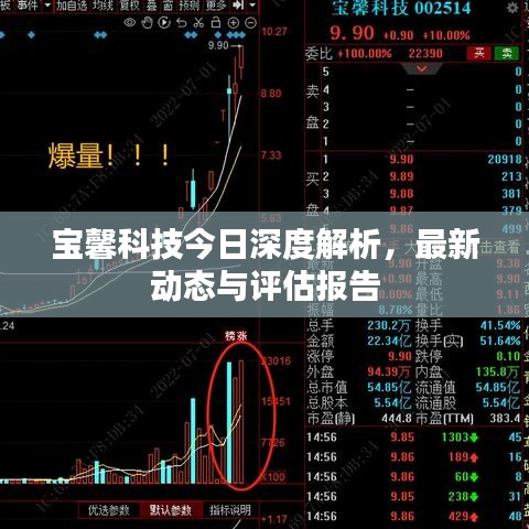 寶馨科技今日深度解析，最新動態(tài)與評估報告