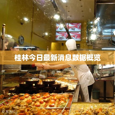 桂林今日最新消息數據概覽