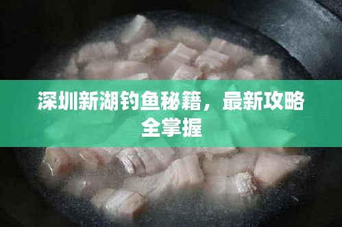 深圳新湖釣魚秘籍，最新攻略全掌握