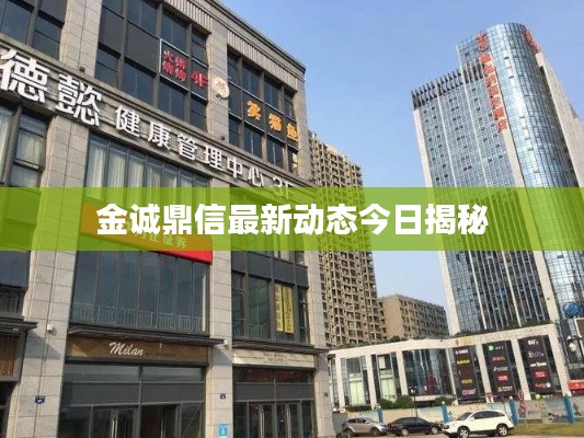 金誠鼎信最新動態今日揭秘