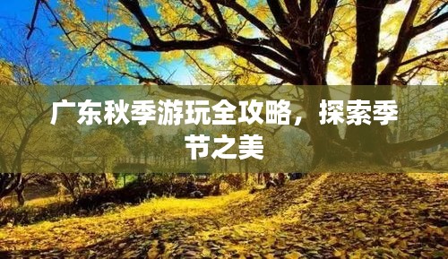 廣東秋季游玩全攻略，探索季節(jié)之美
