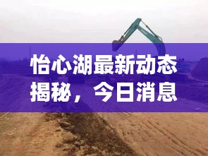 怡心湖最新動態揭秘，今日消息一網打盡！