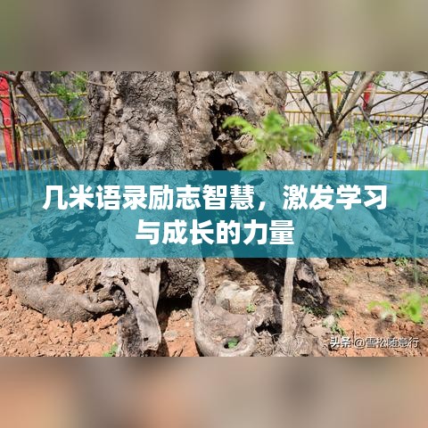 赤鳥夾日 第2頁