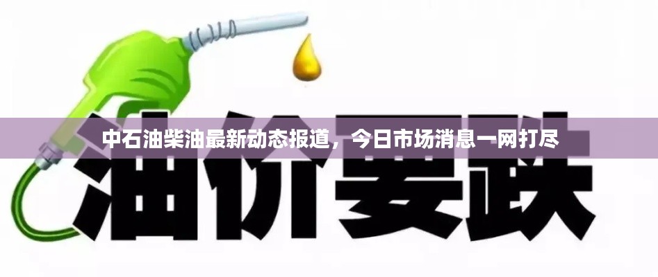 中石油柴油最新動態報道，今日市場消息一網打盡
