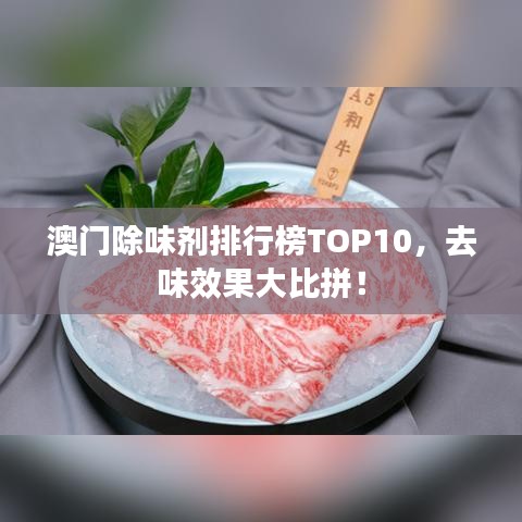 澳門除味劑排行榜TOP10，去味效果大比拼！