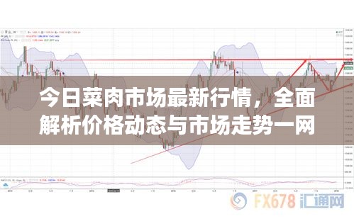 今日菜肉市場(chǎng)最新行情，全面解析價(jià)格動(dòng)態(tài)與市場(chǎng)走勢(shì)一網(wǎng)打盡！