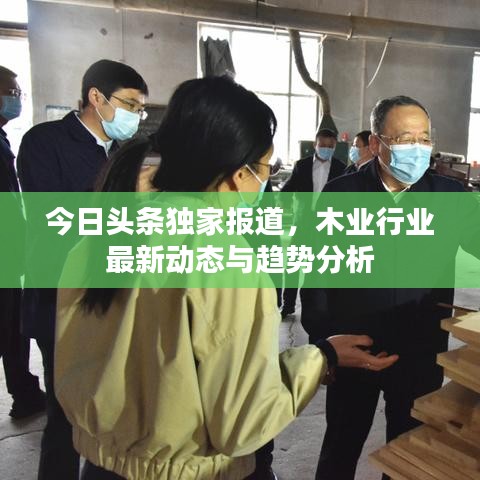 今日頭條獨家報道，木業行業最新動態與趨勢分析