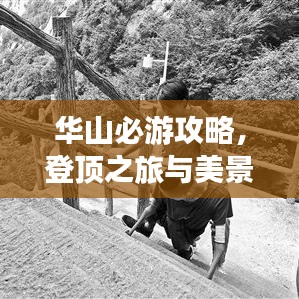華山必游攻略，登頂之旅與美景盡收眼底