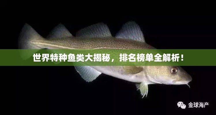 量入為出 第2頁
