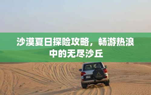 沙漠夏日探險(xiǎn)攻略，暢游熱浪中的無盡沙丘