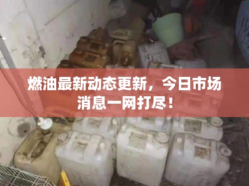 燃油最新動態更新，今日市場消息一網打盡！