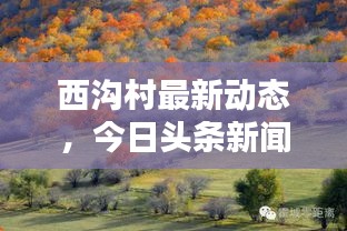 西溝村最新動態(tài)，今日頭條新聞報道聚焦此地！
