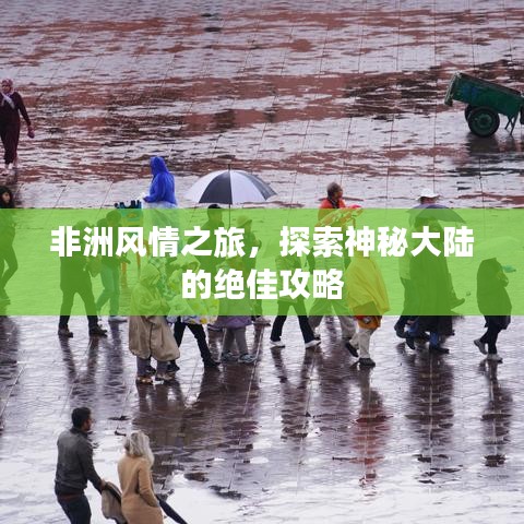 非洲風(fēng)情之旅，探索神秘大陸的絕佳攻略