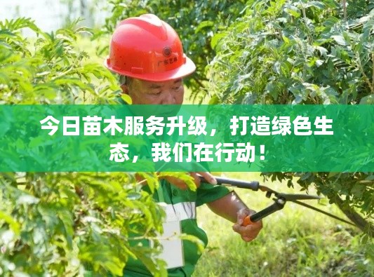 今日苗木服務(wù)升級，打造綠色生態(tài)，我們在行動！