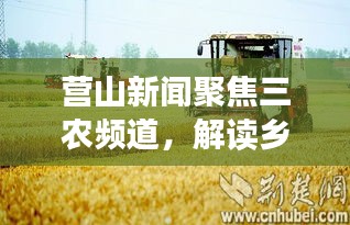 營山新聞聚焦三農(nóng)頻道，解讀鄉(xiāng)村發(fā)展新動向，引領(lǐng)鄉(xiāng)村振興之路
