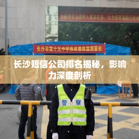長沙短信公司排名揭秘，影響力深度剖析
