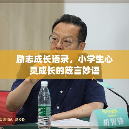 勵志成長語錄，小學生心靈成長的箴言妙語