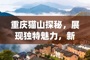 重慶貓山探秘，展現獨特魅力，新聞頭條帶你領略山城風采