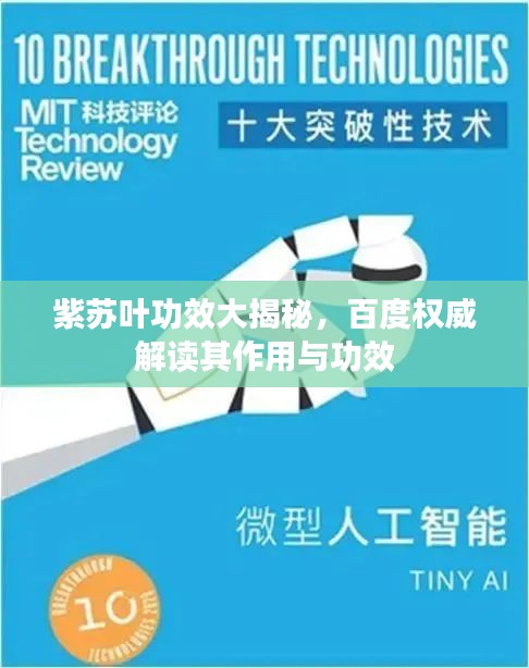紫蘇葉功效大揭秘，百度權威解讀其作用與功效