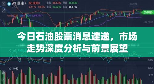 今日石油股票消息速遞，市場走勢深度分析與前景展望