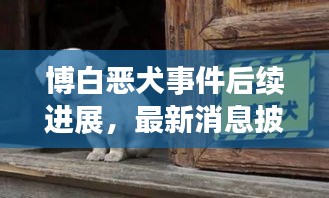 博白惡犬事件后續進展，最新消息披露