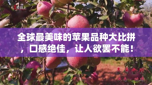 全球最美味的蘋果品種大比拼，口感絕佳，讓人欲罷不能！