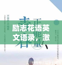 勵志花語英文語錄，激勵你前行的力量之源