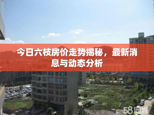 今日六枝房價走勢揭秘，最新消息與動態分析