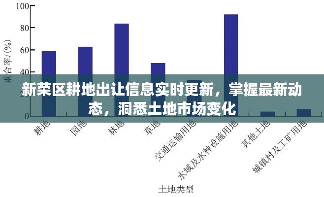 新榮區(qū)耕地出讓信息實時更新，掌握最新動態(tài)，洞悉土地市場變化