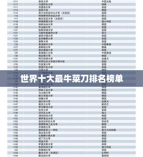 世界十大最牛菜刀排名榜單
