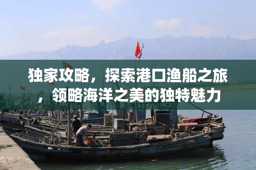 獨家攻略，探索港口漁船之旅，領略海洋之美的獨特魅力