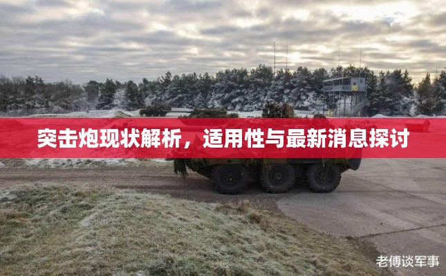 突擊炮現狀解析，適用性與最新消息探討