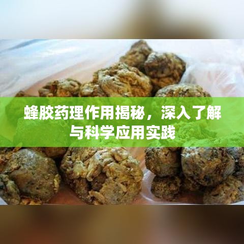 蜂膠藥理作用揭秘，深入了解與科學應用實踐