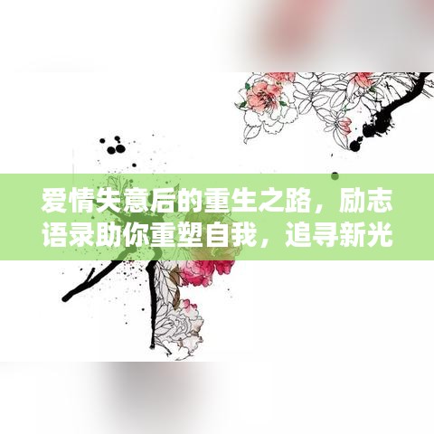 愛情失意后的重生之路，勵(lì)志語錄助你重塑自我，追尋新光芒