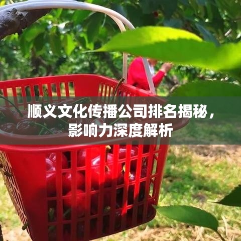 順義文化傳播公司排名揭秘，影響力深度解析