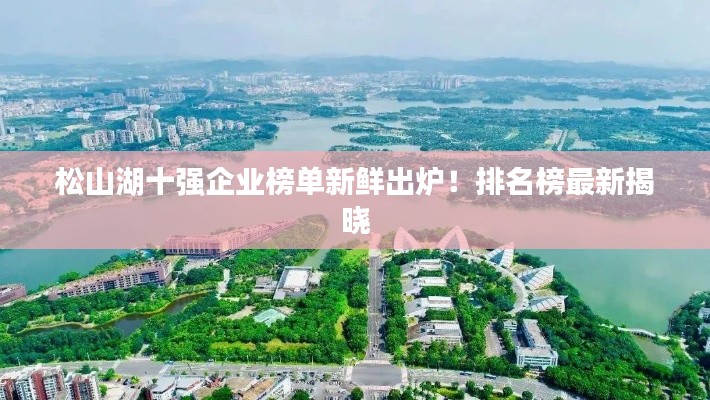 松山湖十強企業榜單新鮮出爐！排名榜最新揭曉