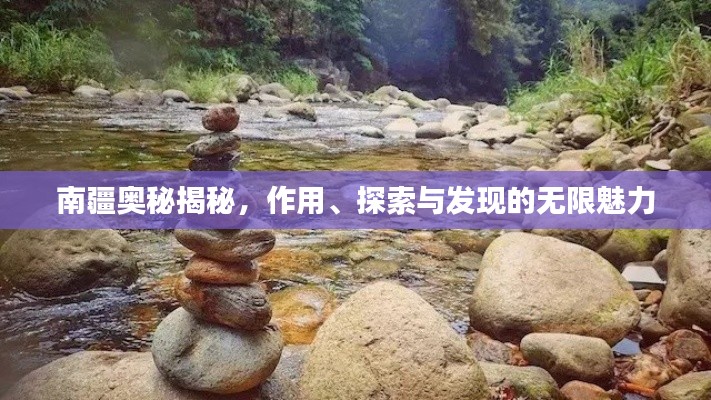 南疆奧秘揭秘，作用、探索與發(fā)現(xiàn)的無限魅力