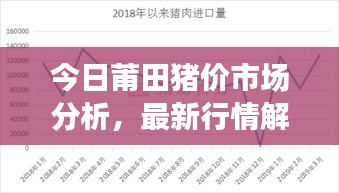 今日莆田豬價市場分析，最新行情解讀
