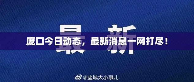 龐口今日動態，最新消息一網打盡！
