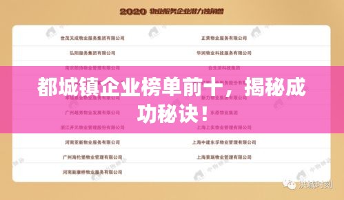 都城鎮企業榜單前十，揭秘成功秘訣！