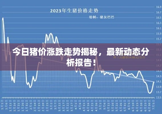 今日豬價(jià)漲跌走勢(shì)揭秘，最新動(dòng)態(tài)分析報(bào)告！