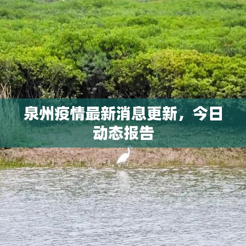 泉州疫情最新消息更新，今日動(dòng)態(tài)報(bào)告