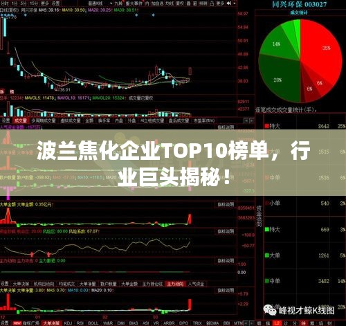 波蘭焦化企業(yè)TOP10榜單，行業(yè)巨頭揭秘！