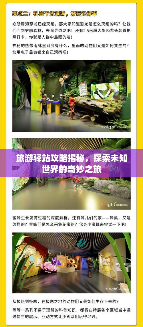 旅游驛站攻略揭秘，探索未知世界的奇妙之旅