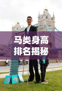 馬類身高排名揭秘，全球十大最高馬種盤點