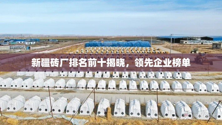 新疆磚廠排名前十揭曉，領先企業榜單