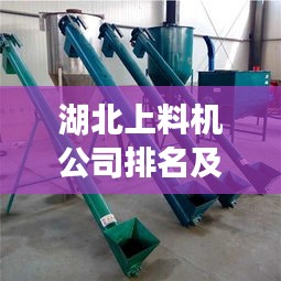 湖北上料機公司排名及行業深度剖析