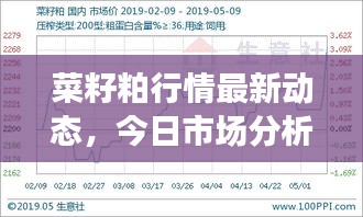 菜籽粕行情最新動態，今日市場分析揭秘
